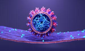 Amerykańsko-chińscy naukowcy zaproponowali inżynierię wirusów podobnych do SARS-CoV-2 przed pandemią COVID